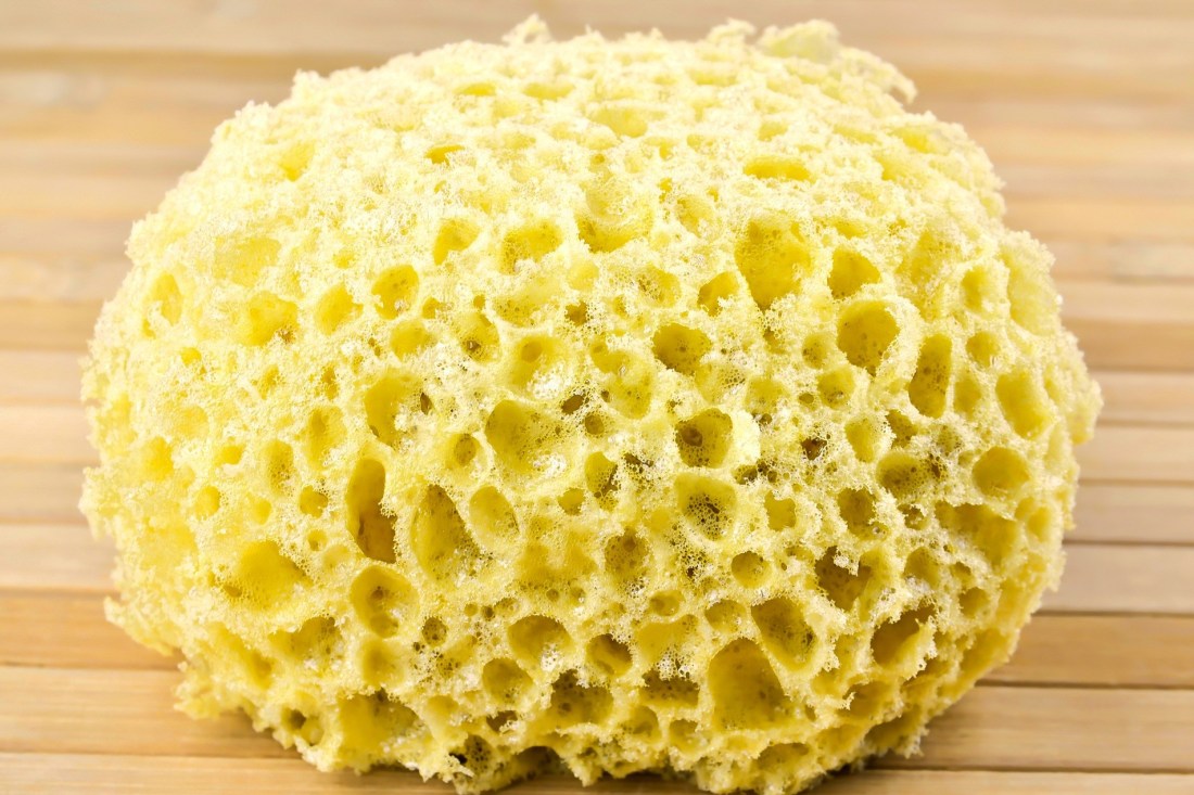 Imagen de Robert Fotograf en Pixabay